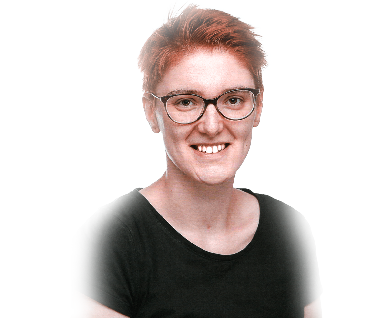 picture of Virginia Dächer